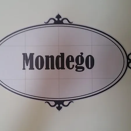 Se Velha 코임브라